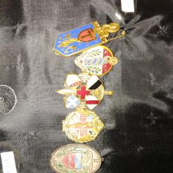 insigne militaire sante