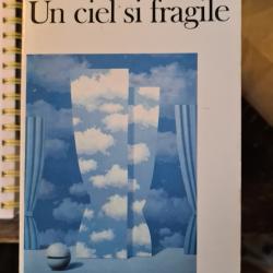 Un ciel si fragile Jack Alain Leger