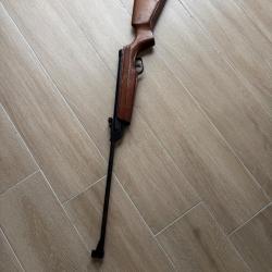Carabine à plomb