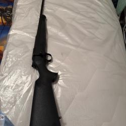 Blaser r8 270 win fileté