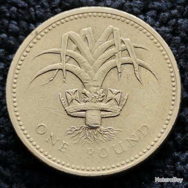 Monnaie Royaume-Uni - 1990 - 1 livre Elizabeth II 3e effigie (Grade : TB) - Ref N1154