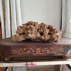 Rose des sables géante