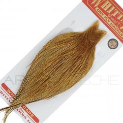 Cous de coq WHITING bronze Barred Dark Ginger