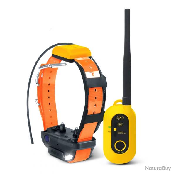 Systme dressage reprage GPS Dogtra Pathfinder 2