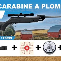 Pack carabine a plombs PLUTON 11J - 4,5mm