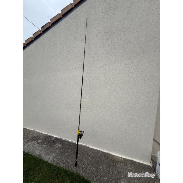 Ensemble Canne Moulinet Pche Silure