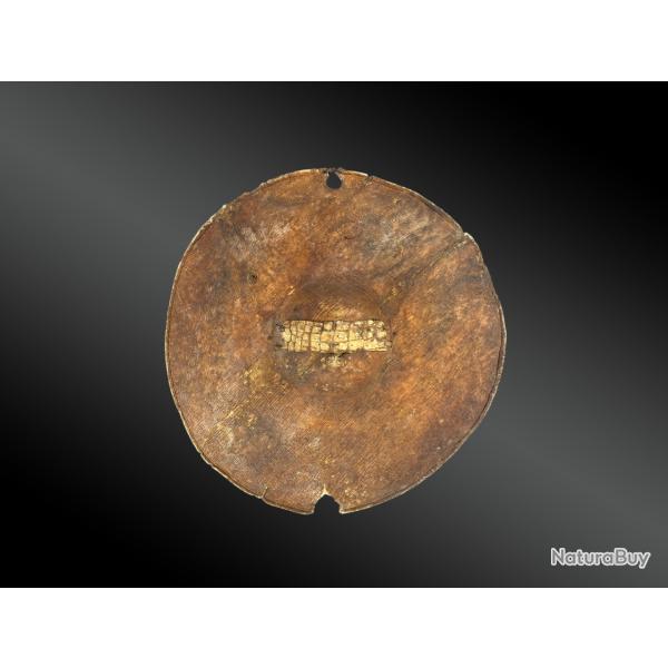 BOUCLIER BEJA orangé Désert de Nubie ; Éthiopie