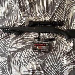 Carabine 270
