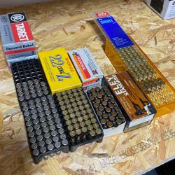 Lot de 292 munitions 22lr