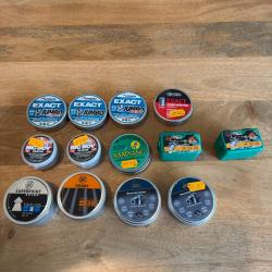 Lot de plombs pour carabine à air comprimé (5.5 mm)