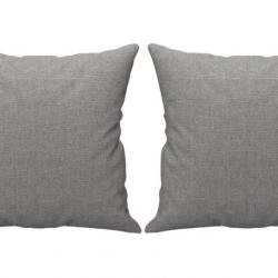 Coussins décoratifs lot 2 gris clair 40x40 cm tissu polyester confort pratique intérieur