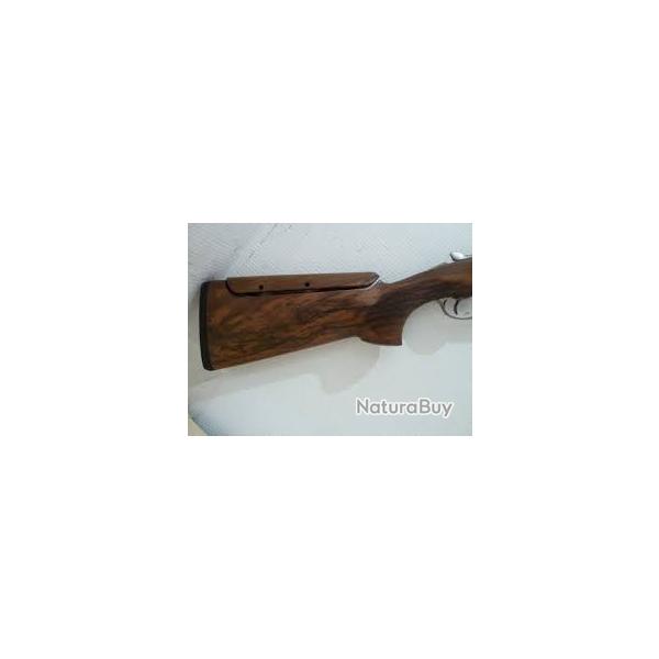 crosse beretta 694 ACS
