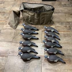 Vend pigeon enforceur