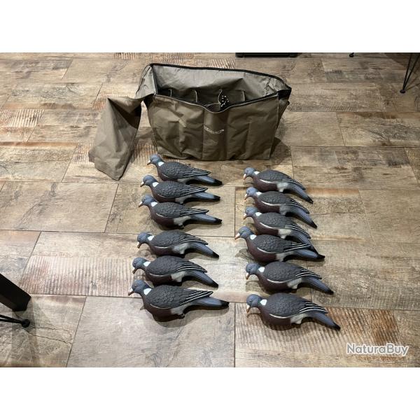 Vend pigeon enforceur