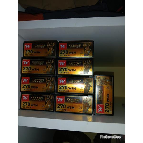 Balles 270wsm