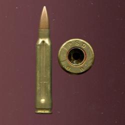 .223 Remington M16 Corée du Sud - Inerte de Manipulation - étui laiton 4 flutes - marquage : PSD 89