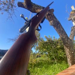 Fusil à chargeur goose gun