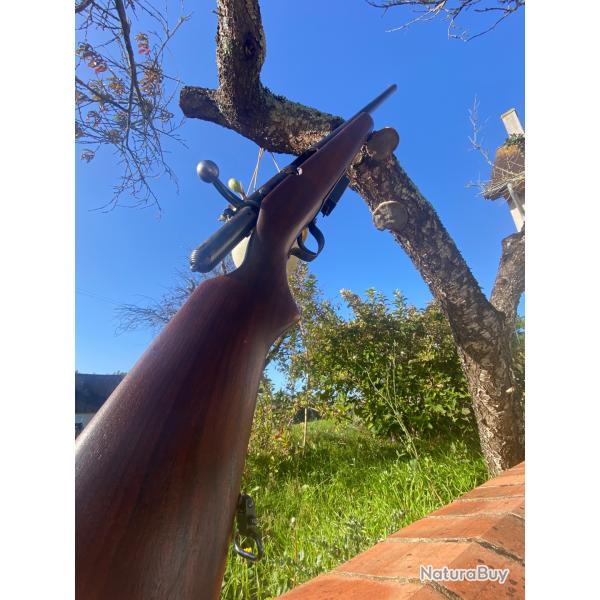 Fusil  chargeur goose gun