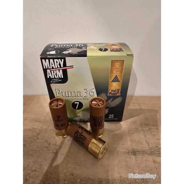 Carton de 10 boites de cartouches Mary Arm puma 36 12/70 plomb de 7 bourre jupe