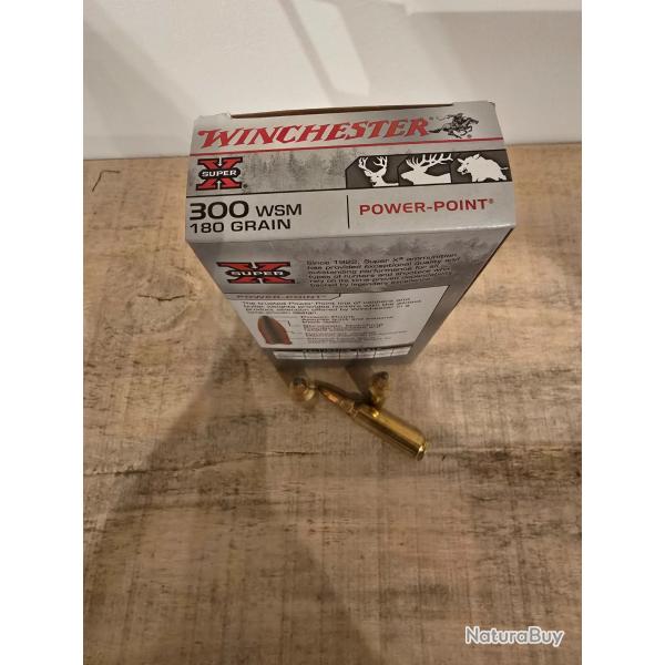 Boite de 20 cartouches winchester power point 300 wsm 180 gr