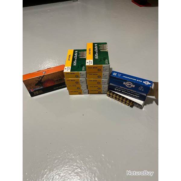 11 botes de cartouches 243 sellier bellot ,lapua, ppu