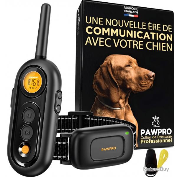 Collier de dressage - PAWPRO