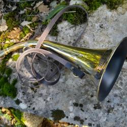 Trompe / Corne Milliens  de 35 cm  - 15 %
