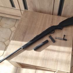 Carabine 22LR Armscor