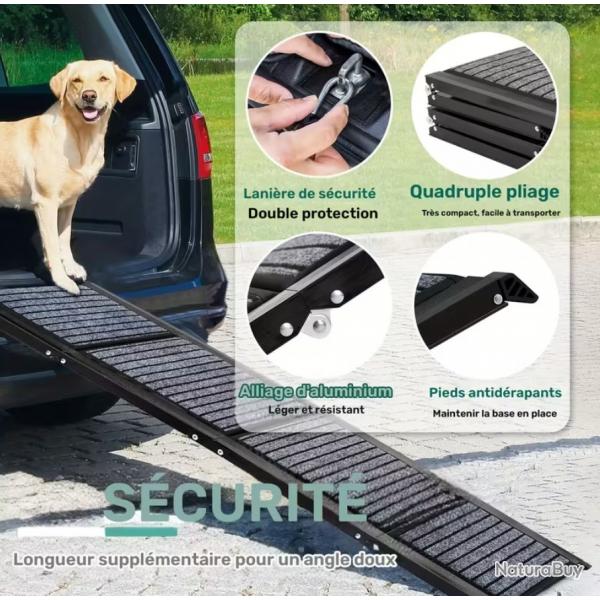 Rampe portable canin