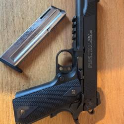 1911 colt rail gun 22lr