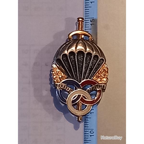 insigne de la préparation militaire parachutiste - Drago, Marne-la-Vallée