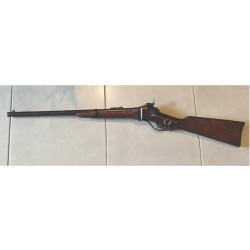 Carabine US Cavalry Sharps .50-70 Gvt