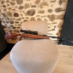 Carabine plomb 20J avec lunette de precision et boite de transport