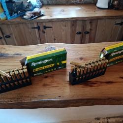Remington core lokt psp 300 win mag 180 gr