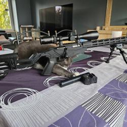 Carabine Ruger rimfire précision 22 lr