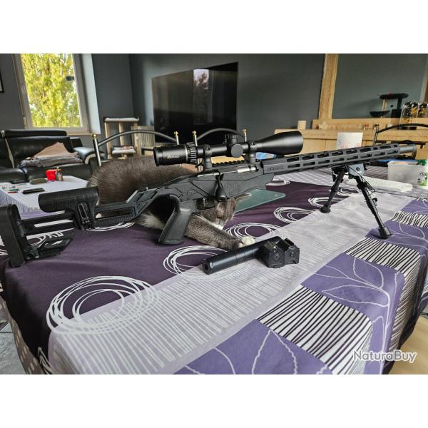 Carabine Ruger rimfire prcision 22 lr