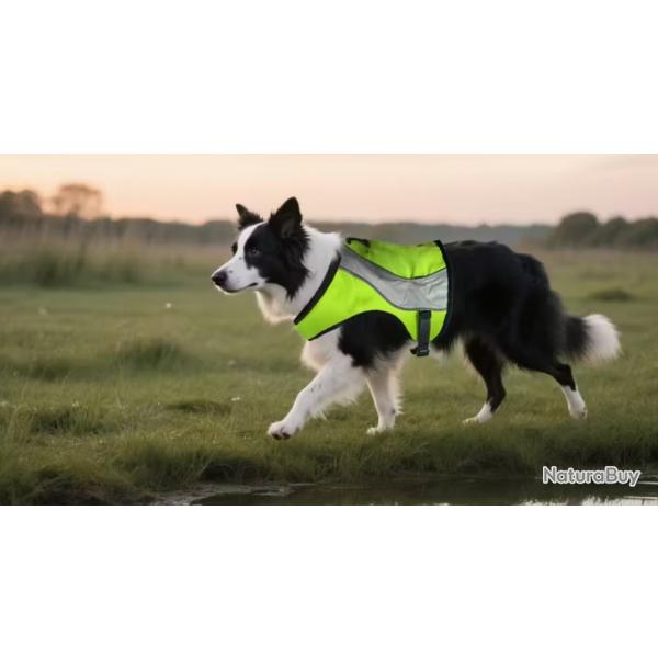 Gilet rflchissant canin .