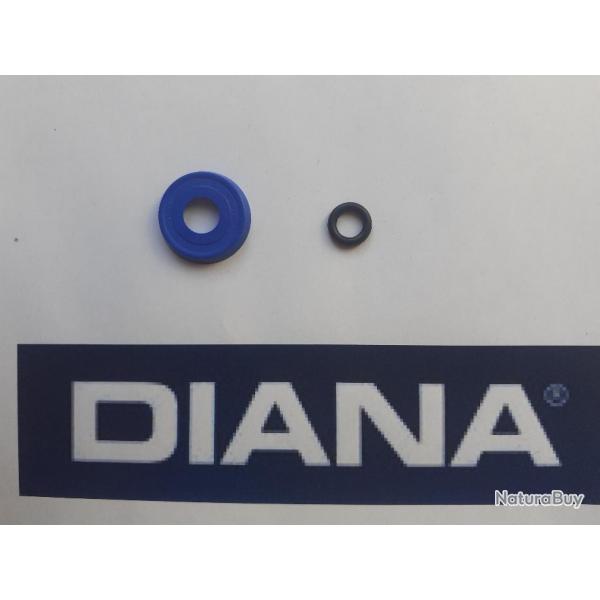 DIANA 5 6 JOINTS a