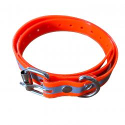 Collier chien type epagneul