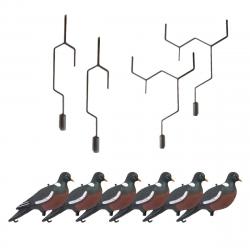 Pack chasse du pigeon appelant perché 68e22ea1b5c07