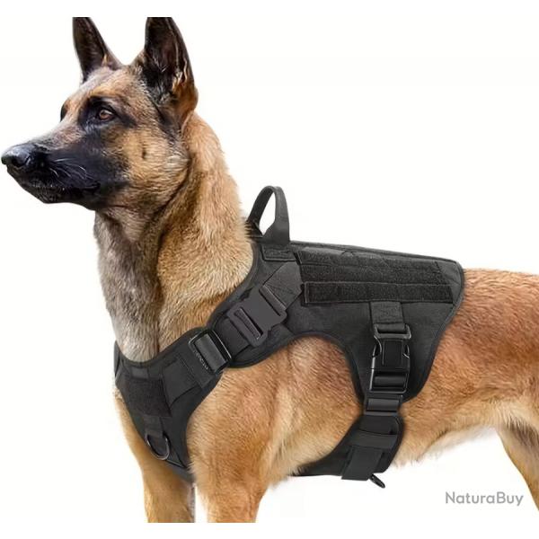 gilet tactique canin