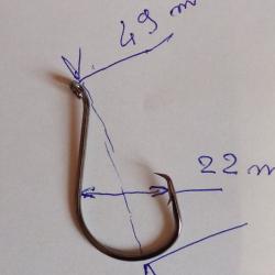 hameçon circle hook