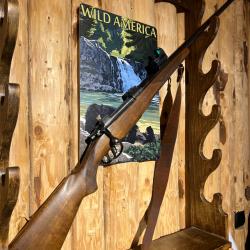 ENCHERES 1 - BRNO ZKK 602 300WIN MAG + NIKKOSTIRLING PRO T4