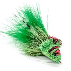 EUROFLY MOUCHE DAHLBERG DIVER N°4