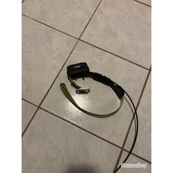 Collier De Suivi Et De Dressage Garmin Tt 15f