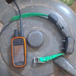 Centrale Garmin alpha 100f collier tt15 mini