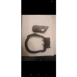 Collier dressage petsafe