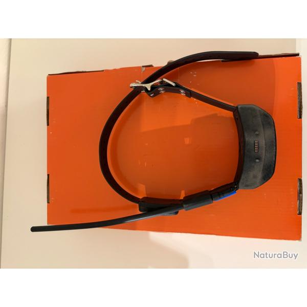 Collier supplmentaire pour Sportdog Tek