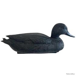 Appelant Colvert Noir Mâle Flottant à l'unité