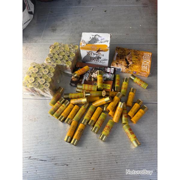 Lot cartouche calibre 20